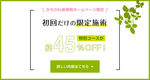 WEB限定初回特別価格